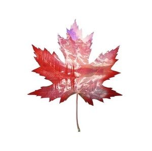 Meet your Posher, Harvir